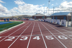 Picture7